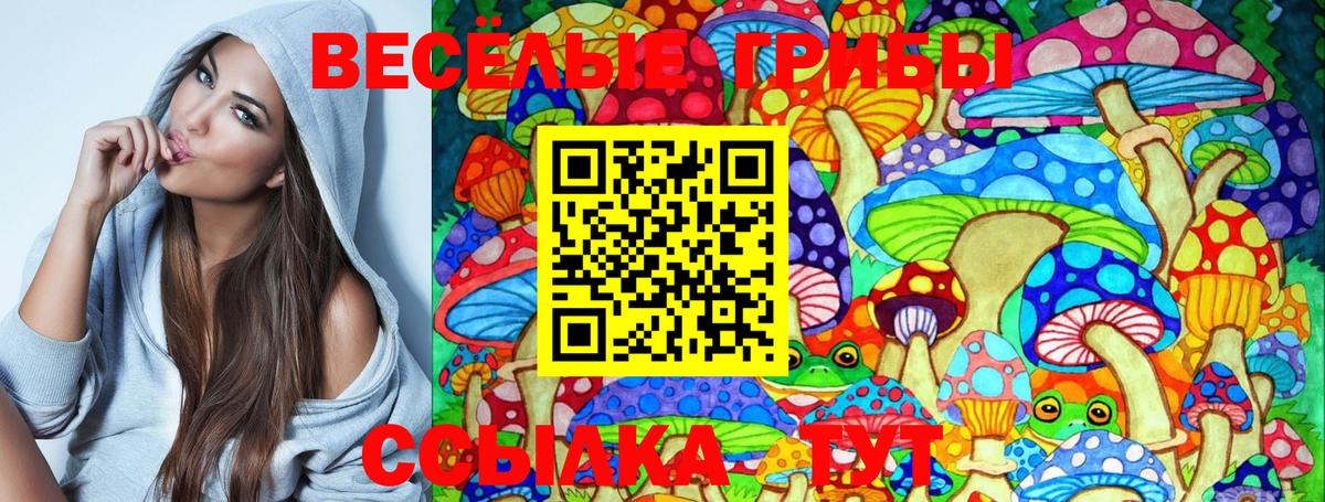 Галлюциногенные грибы MAGIC MUSHROOMS Россия