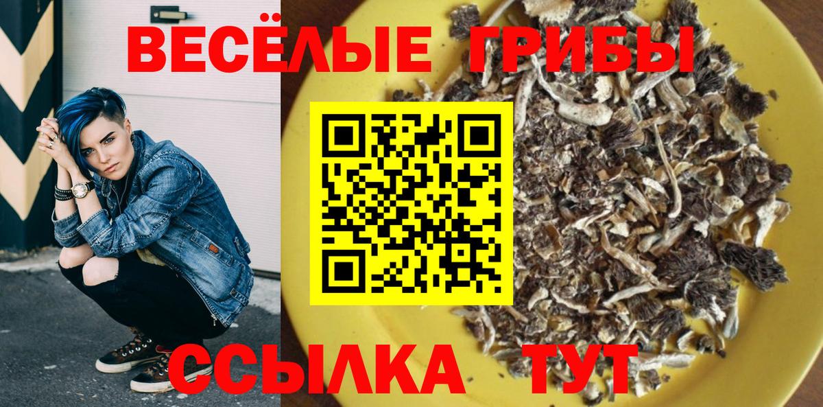 Псилоцибиновые грибы Magic Shrooms  Псилоцибиновые грибы MAGIC MUSHROOMS  Вход с VPN  Россия 